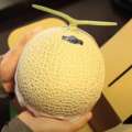 El melón 'Crown', el más caro del mundo